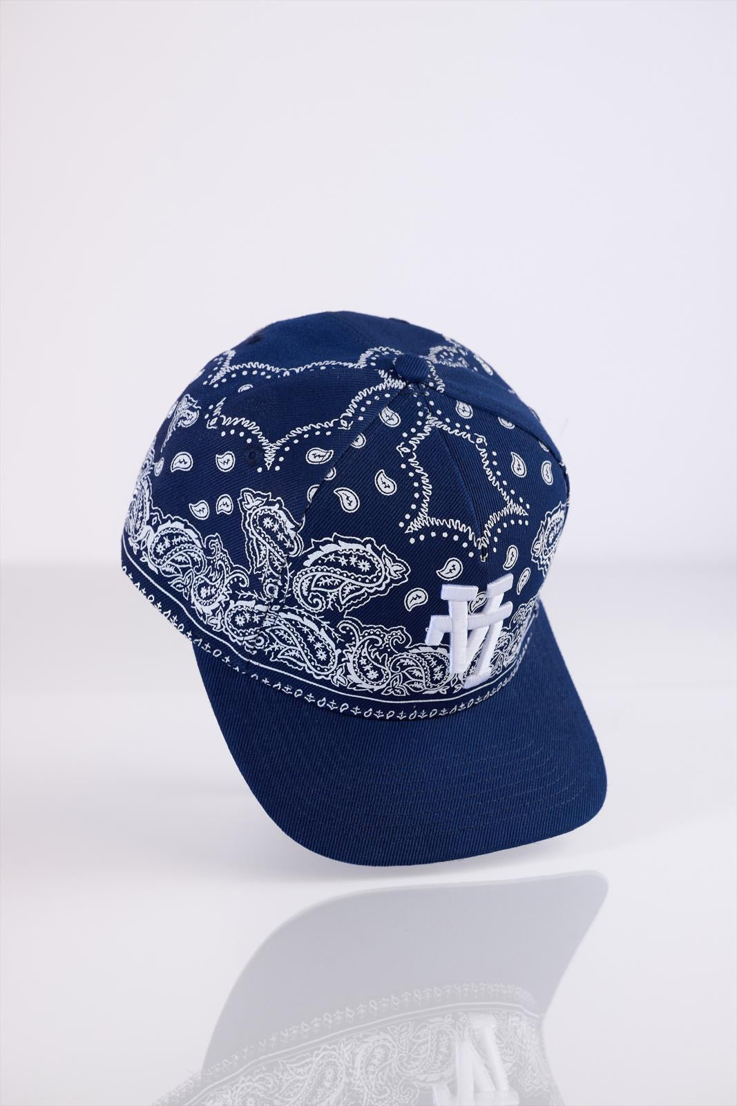 LA Dodgers blue bacteria cap SnapBack